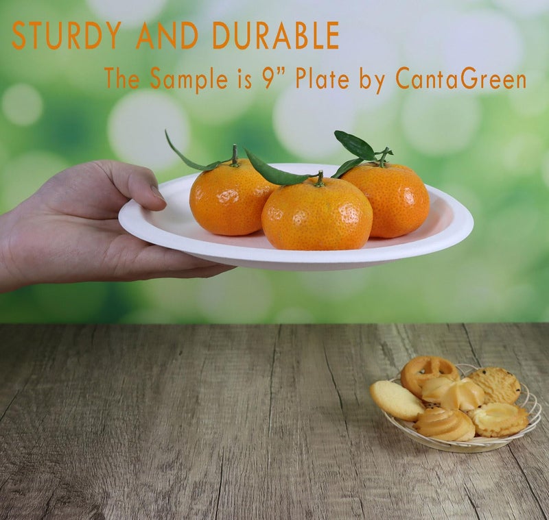 CantaGreen 6 inch Small Compostable Dessert Plates,100 Count Heavyduty Sugarcane/Bagasse and Bamboo Fibre Biodegradable Disposable Paper Plate - Image 2